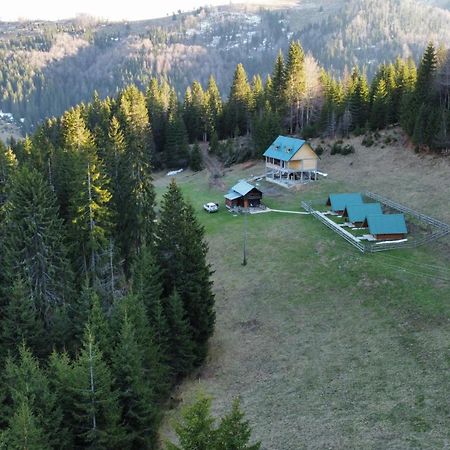 Villa Koliba Marijanovic à Andrijevica Extérieur photo