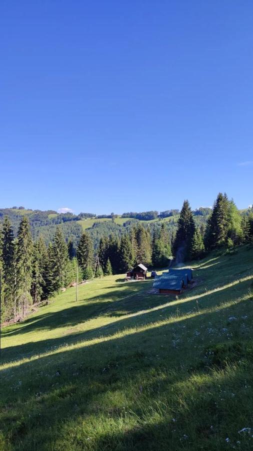 Villa Koliba Marijanovic à Andrijevica Extérieur photo