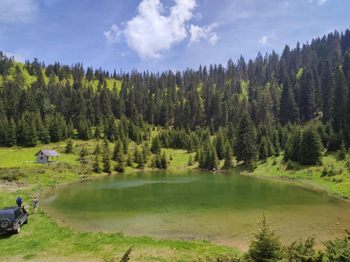 Villa Koliba Marijanovic à Andrijevica Extérieur photo