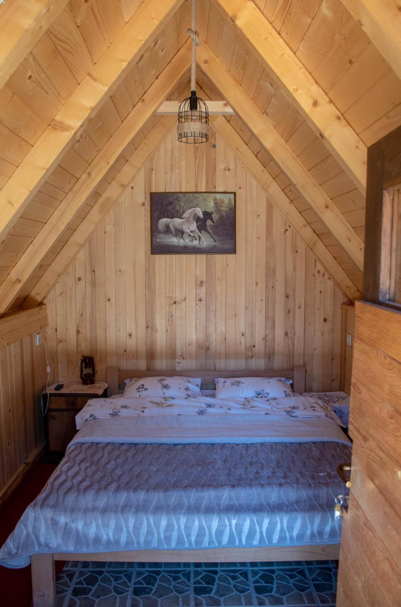 Villa Koliba Marijanovic à Andrijevica Chambre photo